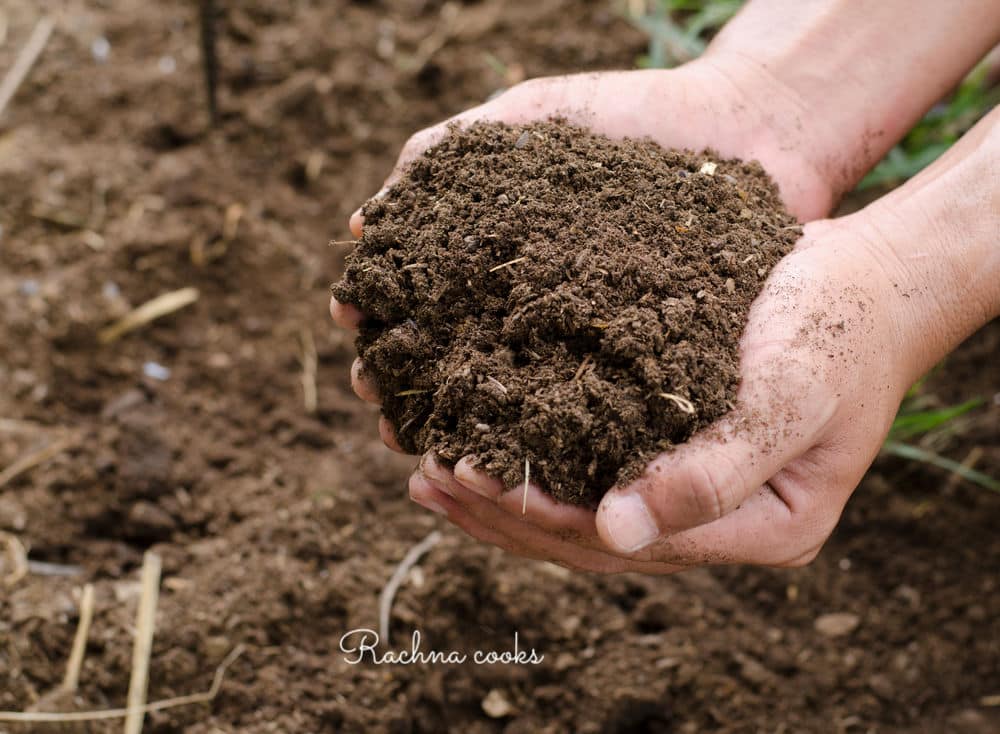  how to make compost at home