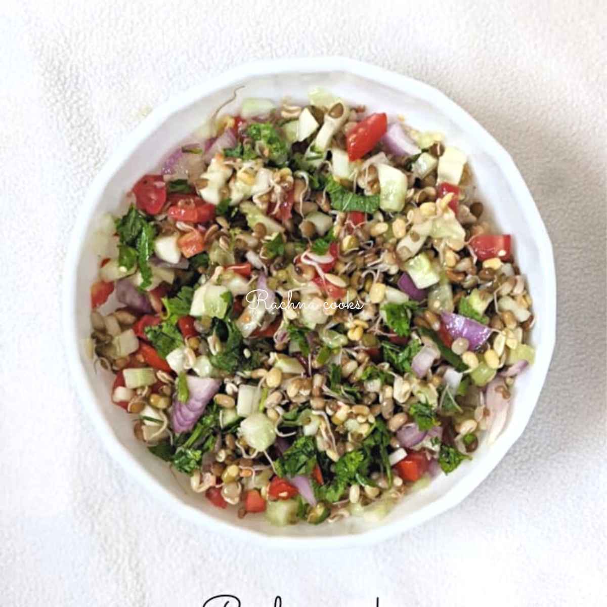 Top shot of a bowl of sprouted lentil salad