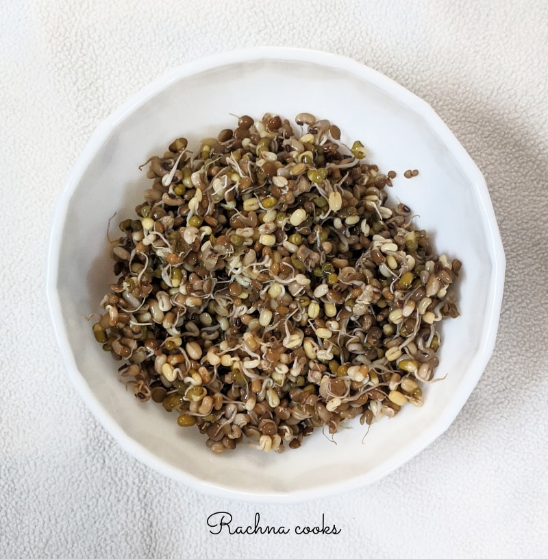 boiled sprouted lentils in a white bowl