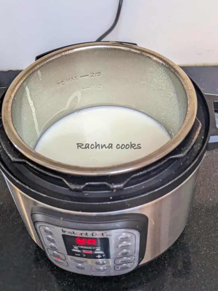 Instant pot with milk and rice