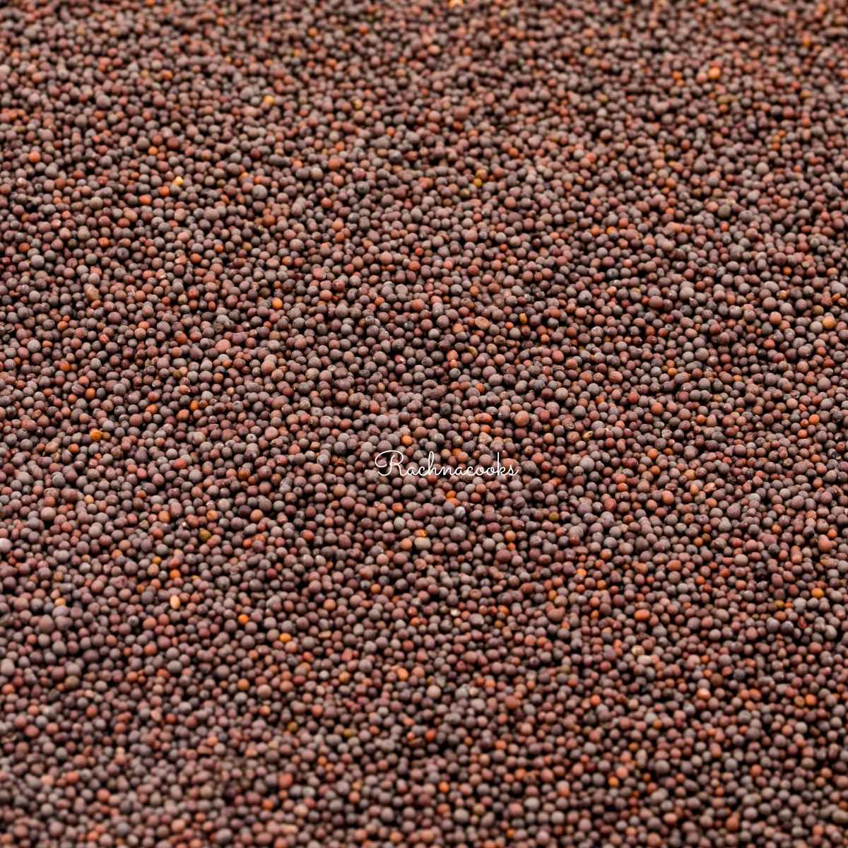 Brown mustard seeds in a frame