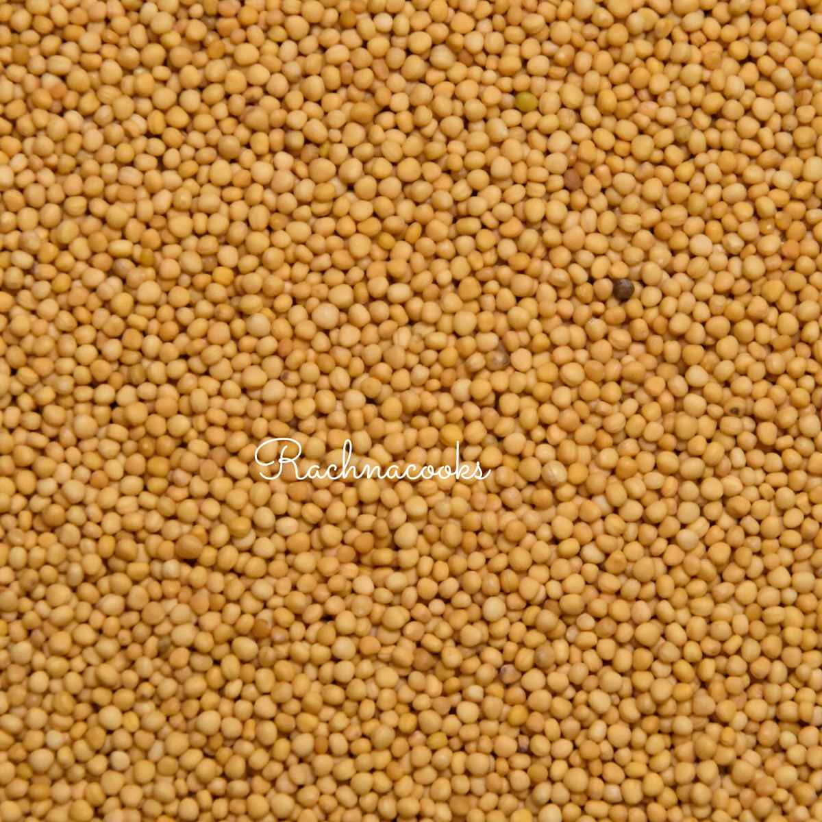 Yellow mustard seeds in a frame