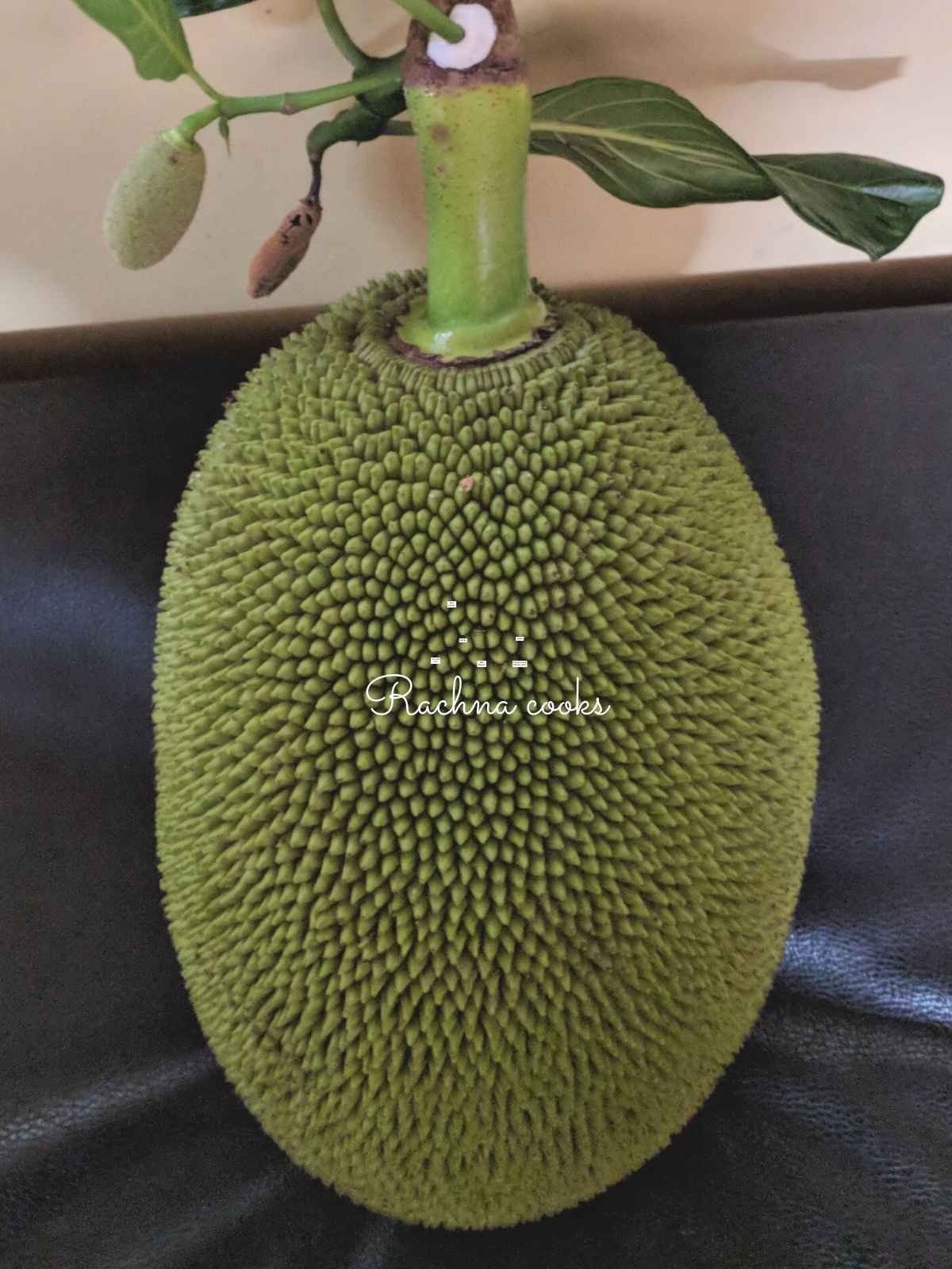Green jackfruit with stem and leaf visible.