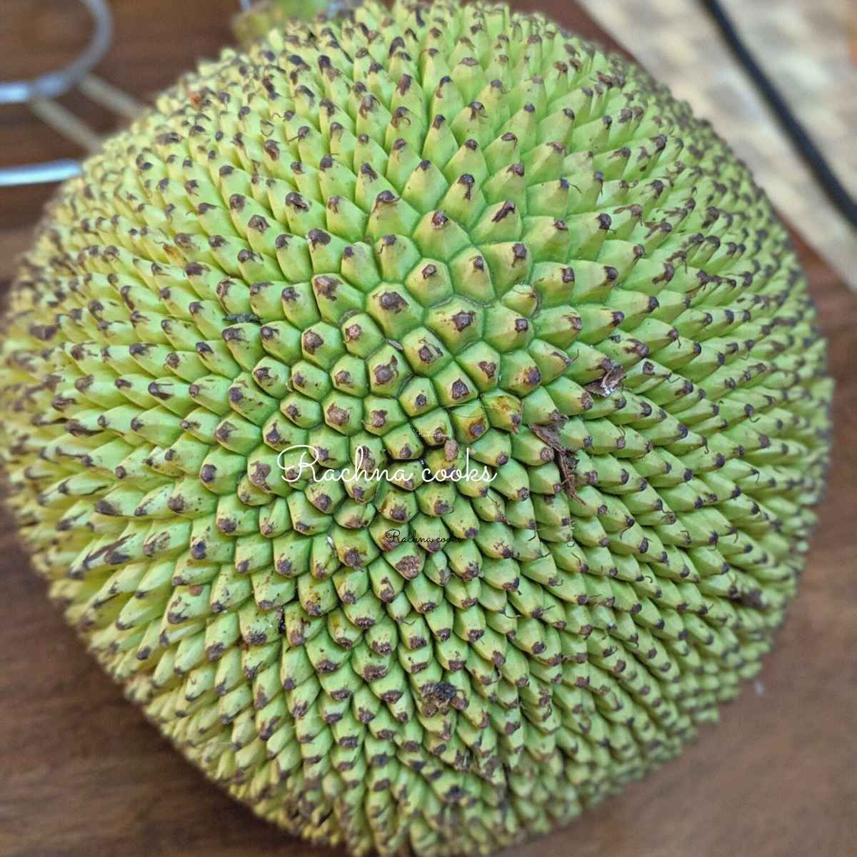A round green jackfruit with spiky skin