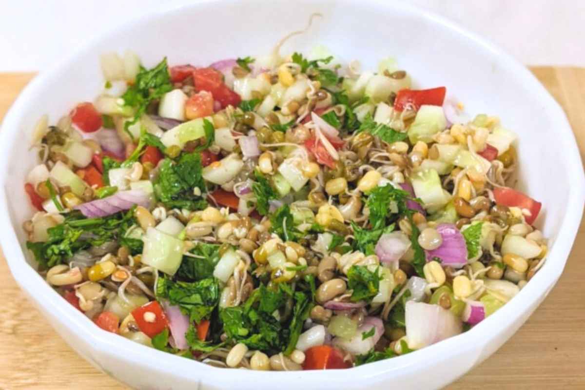 A bowl of sprouted lentil salad