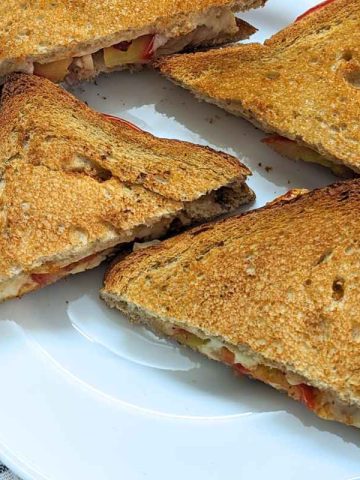 Tomato Cheese sandwich halves on a plate