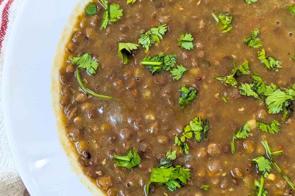 Brown lentils bowl closeup