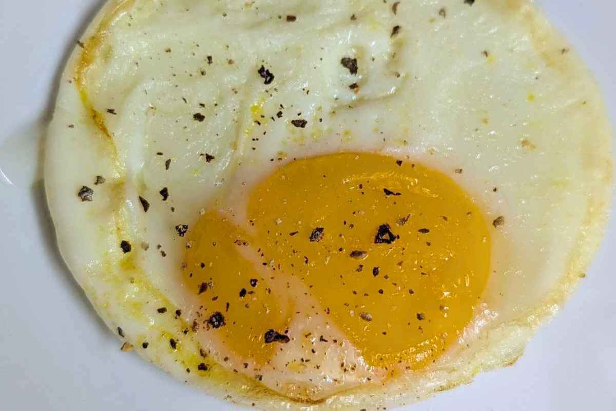 Fried egg on a plate