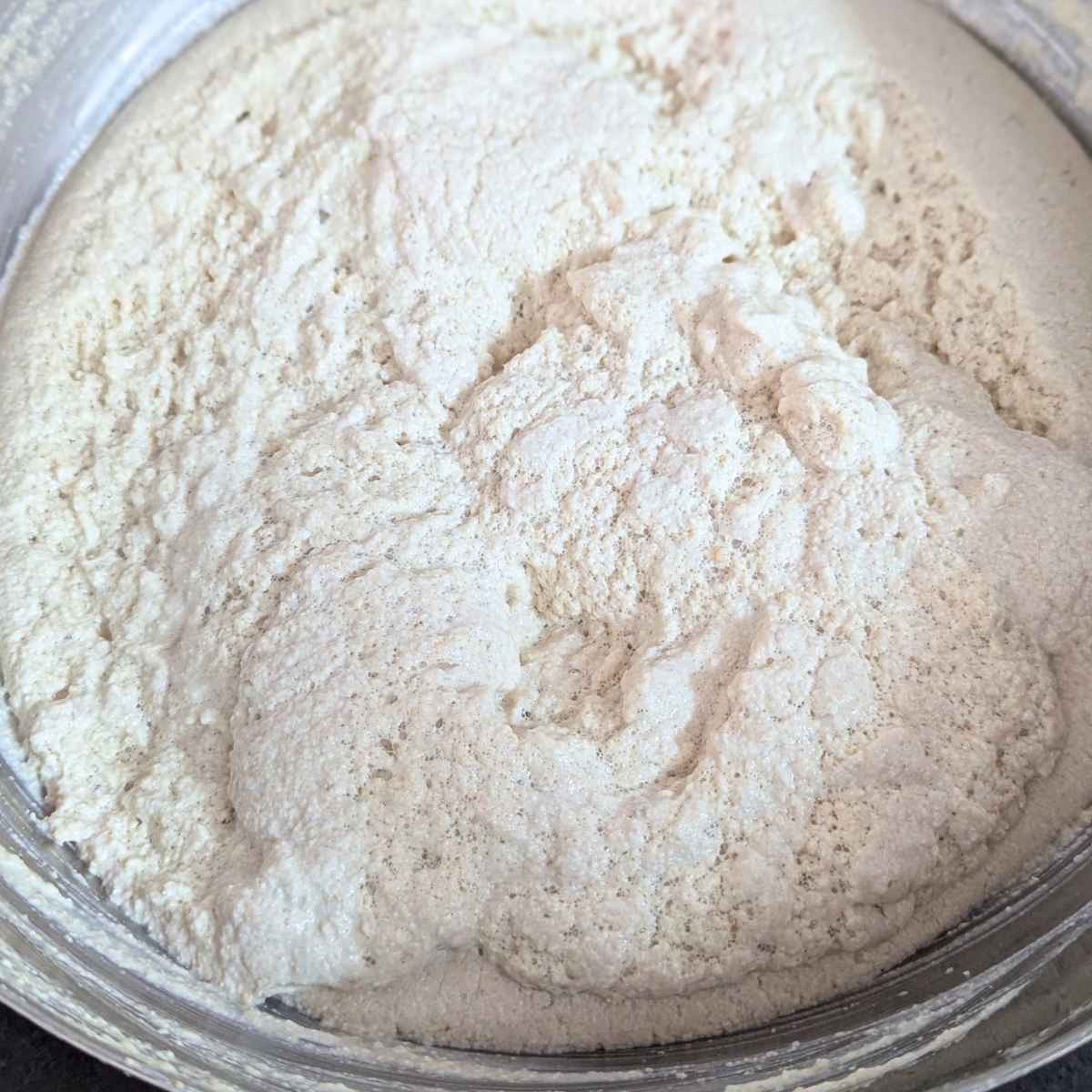Quinoa idli batter after fermentation