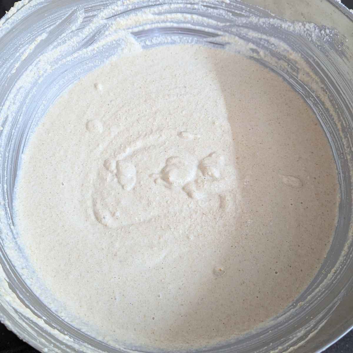 Quinoa idli batter kept for fermentation.