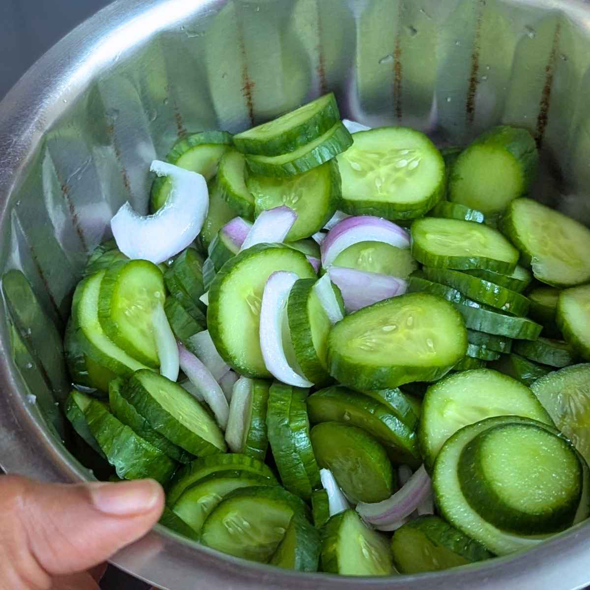 Cucumber and onion cut into slices