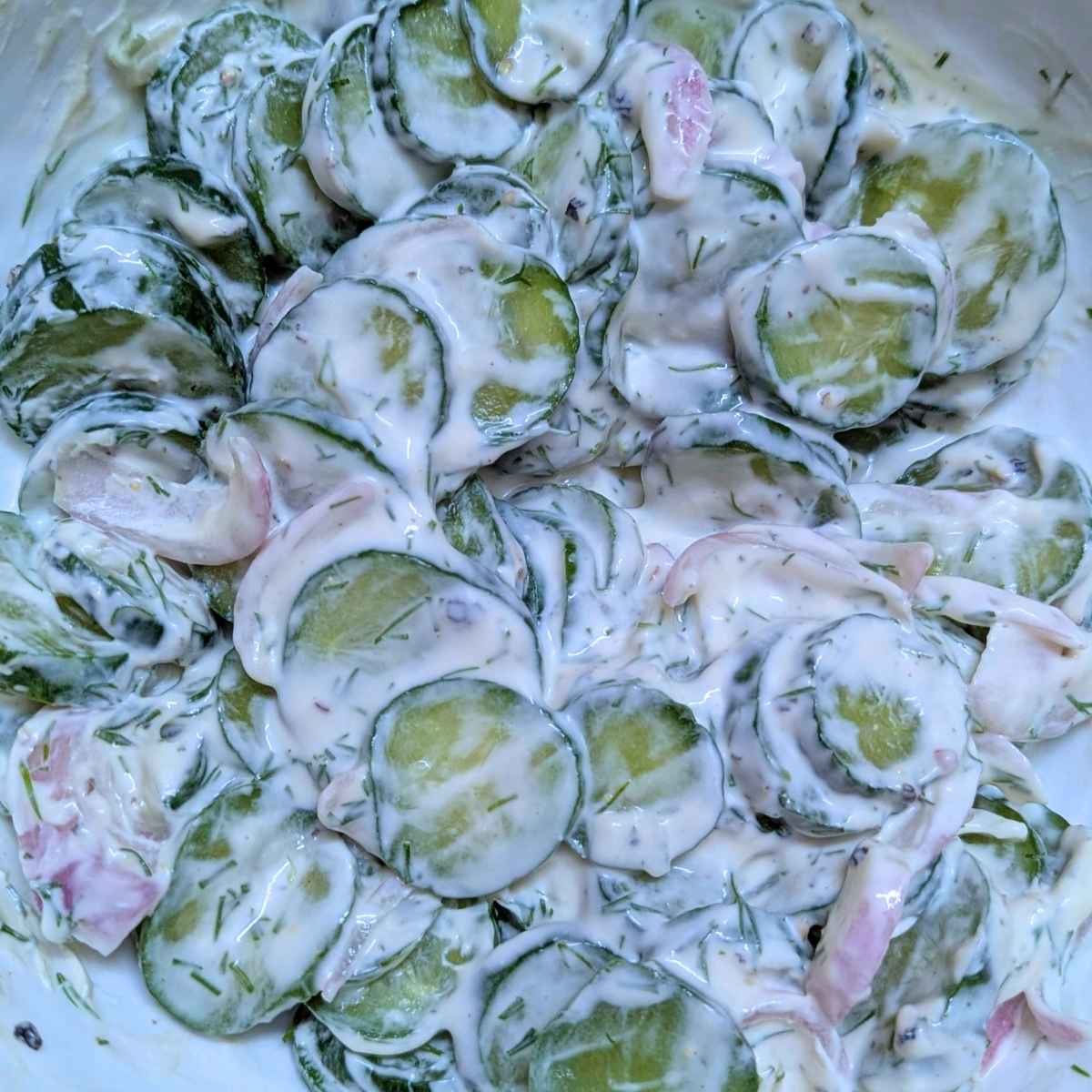 Close up of creamy cucumber salad