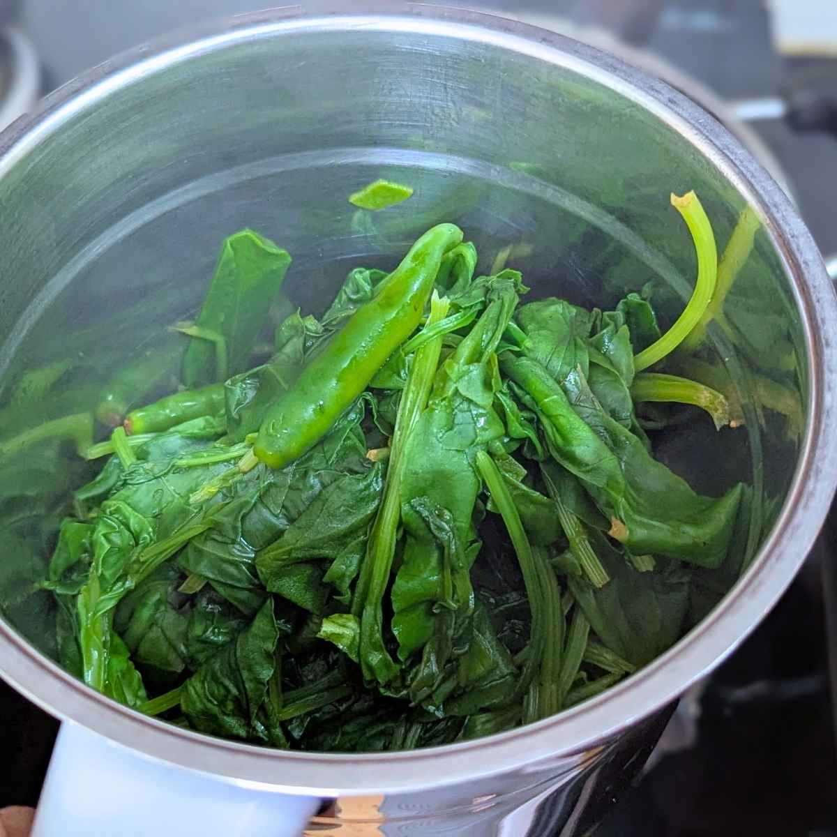 Wilted spinach leaves with green chillies in a blender.